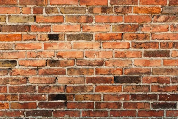 Brick Wall Surface Plaster — Stock Photo, Image