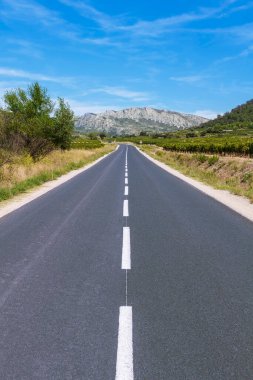 Üzüm bağları arasındaki dağlarda asfalt yol