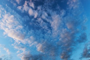 Beyaz gri ve sarımsı altokülüs bulutları gün batımından ve altın saatinden önce mavi gökyüzüne karşı