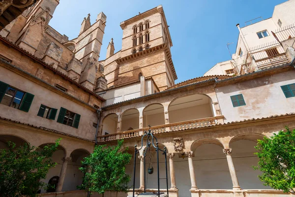 Gótikus Székesegyház Mallorca Pláma Kápolna Szentháromság Kút Templomkertben Jogdíjmentes Stock Fotók