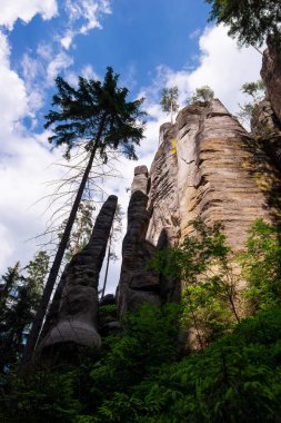 Çek Cumhuriyeti 'nde Adrspach Teplice rock şehrindeki kaya oluşumları Polonya sınır kurbağası perspektifi yakınlarında
