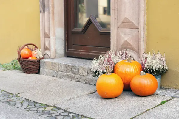Several orange round ripe pumpkins, white and violet colorful heather in buckets and flowerpots laying on the sidewalk by the wall