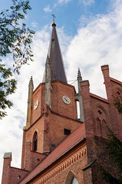 Kutsal Bakire Meryem 'in Varsayımı Gotik Kilisesi, Polonya Wroclaw Oltaszyn İlçesi Güneşli Gün Kurbağası Perspektifi