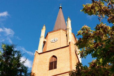 Kutsal Bakire Meryem 'in Varsayımı Gotik Kilisesi, Polonya Wroclaw Oltaszyn İlçesi Güneşli Gün Kurbağası Perspektifi