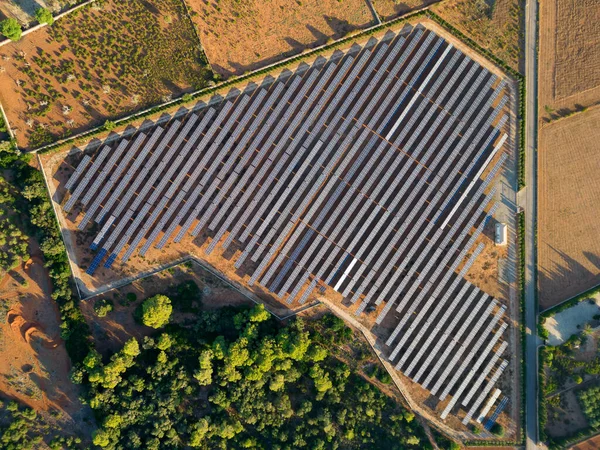 Aerial View Drone Photovoltaic Solar Panels Farm Sunny Morning Malorca Stock Fotó