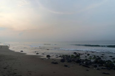 Deniz dalgası sahilde yosunlu kayalara çarpıyor. Güzel ve sakin sahil atmosferi