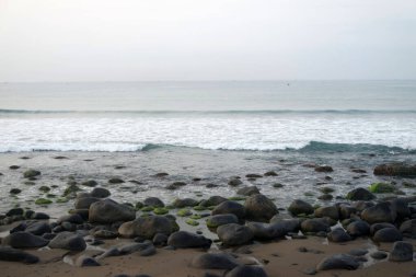 Deniz dalgası sahilde yosunlu kayalara çarpıyor. Güzel ve sakin sahil atmosferi