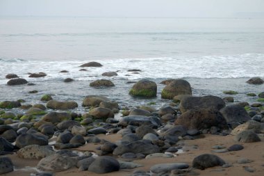 Deniz dalgası sahilde yosunlu kayalara çarpıyor. Güzel ve sakin sahil atmosferi
