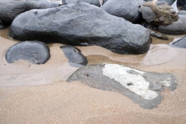 Deniz dalgası sahilde yosunlu kayalara çarpıyor. Güzel ve sakin sahil atmosferi