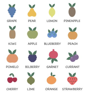 Meyve çizgisi simgelerinin vektör kümesi. Renk simgeleri. Genel olarak kullanılan meyveleri içerir.