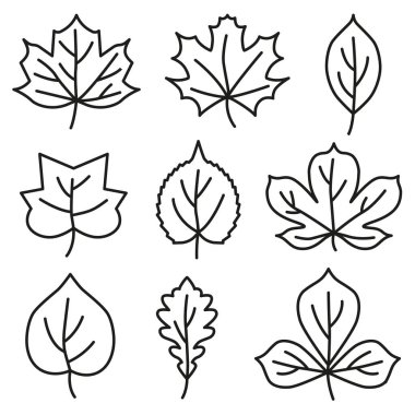 Sonbahar yaprakları ince, karanlık bir çizgi çiziyor. Sonbahar yaprakları. Sonbahar tasarım elementi. Vektör çizimi. EPS 10.