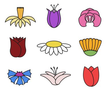 Basit rengarenk çiçekler. Botanik doğa modern trend elementler vektör illüstrasyonu.