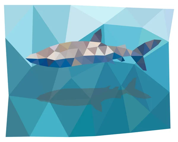 Hai Triangulation Polygonale Silhouetten Von Tieren Vektorillustration — Stockvektor