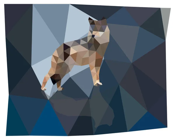 Wolf Triangulation Polygonale Silhouetten Von Tieren Vektorillustration — Stockvektor