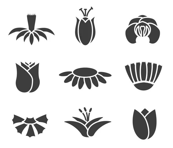 Прості Темні Пустотілі Квіти Ботанічна Природа Сучасні Модні Елементи Векторні — стоковий вектор