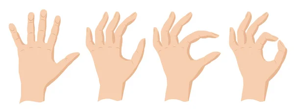 Mãos Mostram Sinal Que Está Tudo Bem Mãos Europeias Ilustração —  Vetores de Stock