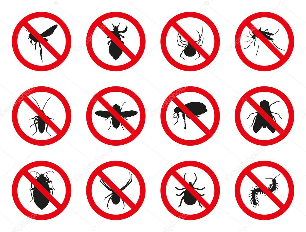 Set of isolated prohibited insects. Insects that bring discomfort to people.