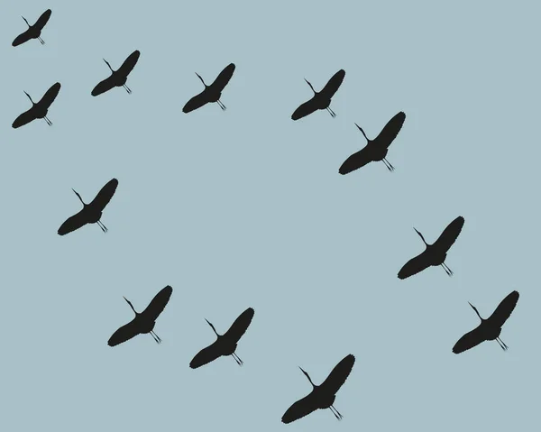 A flock of flying birds in the key, to warmer climes. Free birds. Vector illustration. EPS 10.