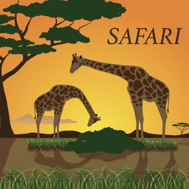 Afrika güneşinin arka planında zürafa. Safari vektörü. Doğa safarisi. EPS 10.