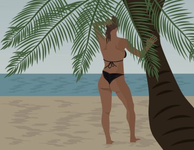 Palmiye ağacının altında bikinili tropik plaj kadını. Rahatlama ve egzotik tatil atmosferini tasvir eden minimalist bir tarz. EPS 10.