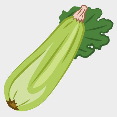 Yapraklı sebze resimli kabak. Etiket tasarımı, aşçılık projeleri, ambalaj için uygun. EPS 10.