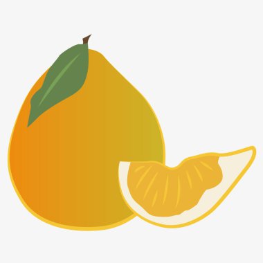 Bütün bir pomelo ve sulu bir parçanın tasviri. Menüler, basılı ürünler, eğitim malzemeleri ve dekoratif tasarım için. EPS 10.