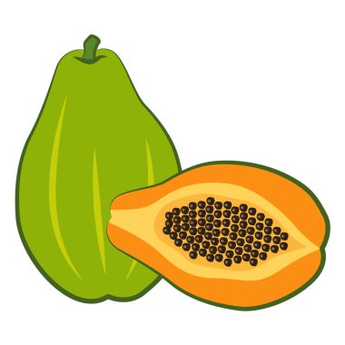 Papaya resmi, tam meyve ve yarısı tohumlu. Olgunlaşmış papaya ve içinde siyah tohumlar olan yarımlar. EPS 10.