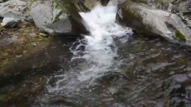 Huzurlu ormanın içinde akan dere