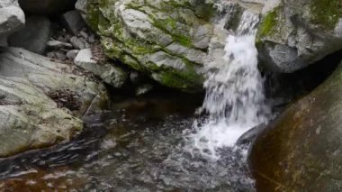 Huzurlu ormanın içinde akan dere
