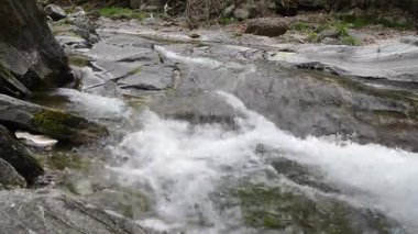 Ormanda küçük bir şelale