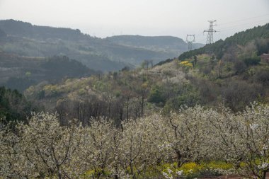 Sabahları dağ manzarası