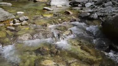 Ormandaki kayaların üzerinden akan su