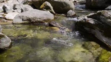 Ormandaki kayaların üzerinden akan su