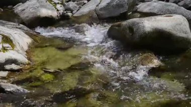 Ormandaki kayaların üzerinden akan su