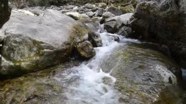 Ormandaki kayaların üzerinden akan su