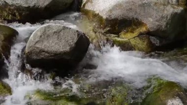 Ormandaki kayaların üzerinden akan su