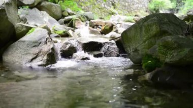 Ormanda küçük bir şelale