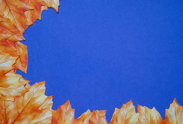 Dekoratif sonbahar mavi arka planda sınır bırakır. Doğa tasarımı, tebrik kartları ve reklamcılık için mevsimsel konsept. 