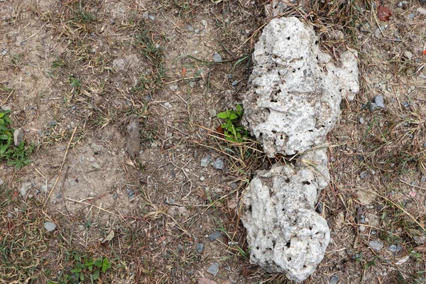 Bahçede yere dizilmiş iki büyük kaya parçası..