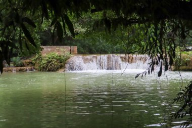 Tayland, derin orman şelale.