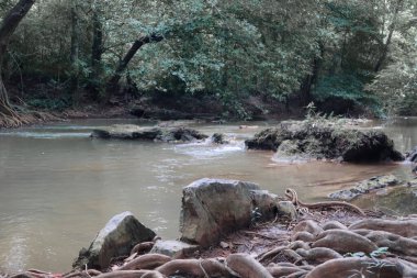Tayland 'ın Saraburi bölgesindeki yağmur ormanlarında akarsu
