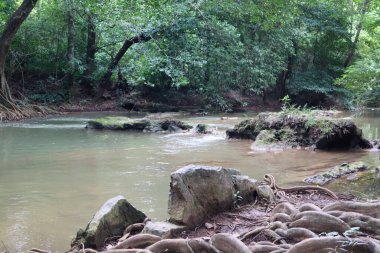 Tayland 'ın Saraburi bölgesindeki yağmur ormanlarında akarsu