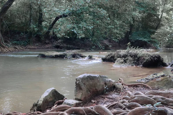 Tayland 'ın Saraburi bölgesindeki yağmur ormanlarında akarsu