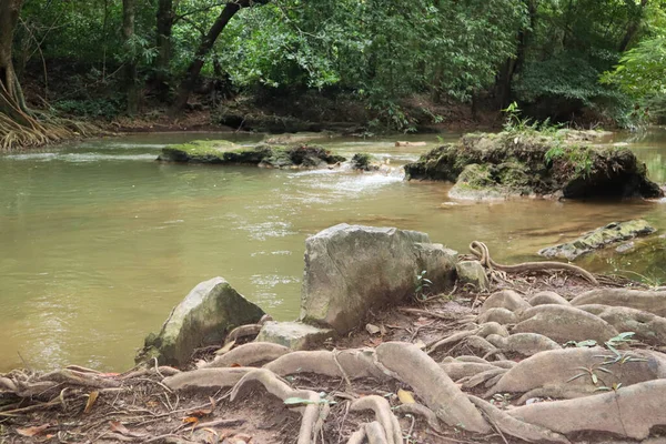 Tayland 'ın Saraburi bölgesindeki yağmur ormanlarında akarsu