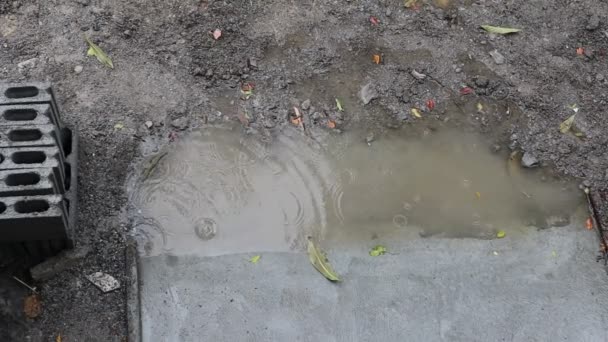 Der Fallende Regen Veranlasst Den Wasserabfluss Tiefere Lagen — Stockvideo