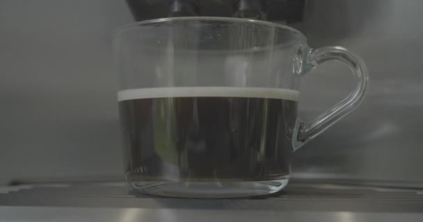 Latte Perfection Art Espresso Takes Viewers Captivating Journey World Coffee — Stock Video