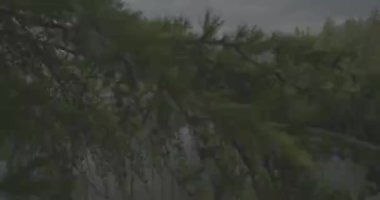 Tatra Dağları 'ndaki göl Strbskie Pleso. Sisli dağlarda, filmler dingin gölleri tasvir eder. Bulutlu gökyüzü kasvetli bir atmosfer yaratıyor. Yansımalar dalgalanır, sahneye ruhani bir cazibe katar. Doğanın güzelliği bulutlar tarafından engellenmeden parlıyor.