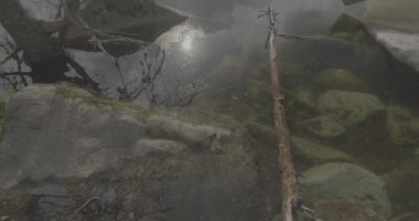 Tatra Dağları 'ndaki göl Strbskie Pleso. Sisli dağlarda, filmler dingin gölleri tasvir eder. Bulutlu gökyüzü kasvetli bir atmosfer yaratıyor. Yansımalar dalgalanır, sahneye ruhani bir cazibe katar. Doğanın güzelliği bulutlar tarafından engellenmeden parlıyor.