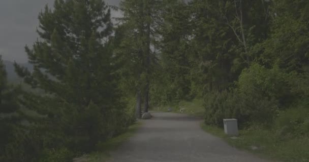 Meer Het Tatra Gebergte Strbskie Pleso Mistige Bergen Portretteren Films — Stockvideo
