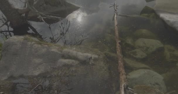 鞑靼山脉的湖泊 Strbskie Pleso 在多雾的山中 电影描绘了宁静的湖泊 阴云密布的天空笼罩着一种忧郁的气氛 反射的涟漪 给这个场景增添了一种飘逸的魅力 大自然的美丽闪烁着 没有被云彩所阻遏 — 图库视频影像